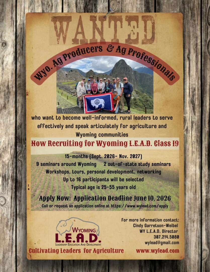 LEAD wanted ad Class 19